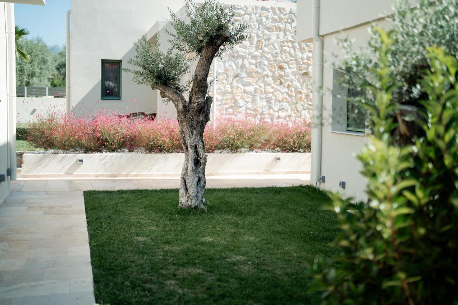 Magnolia Villas Potos Thassos Esterno foto