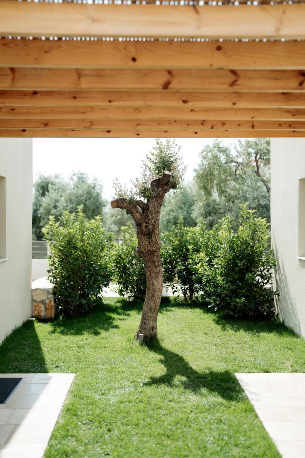 Magnolia Villas Potos Thassos Esterno foto